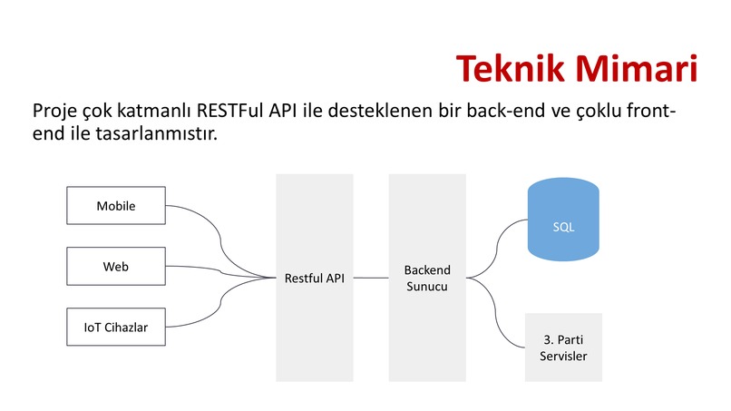 Bir Can/One Life Animal Welfare During Pandemic – screenshot 17