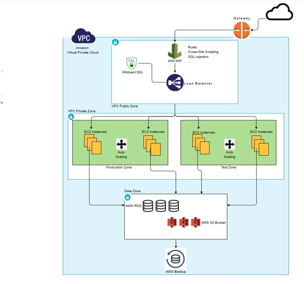 Bir Can/One Life Animal Welfare During Pandemic – screenshot 18