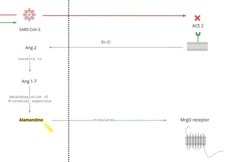 Pathogenesis and Biomarkers for Safe Treatment by sci.AI – screenshot 1