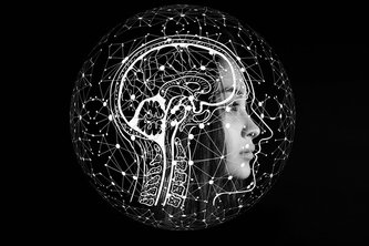 Smart-Confinment : Digital Twin in Smart City to Hack Virus