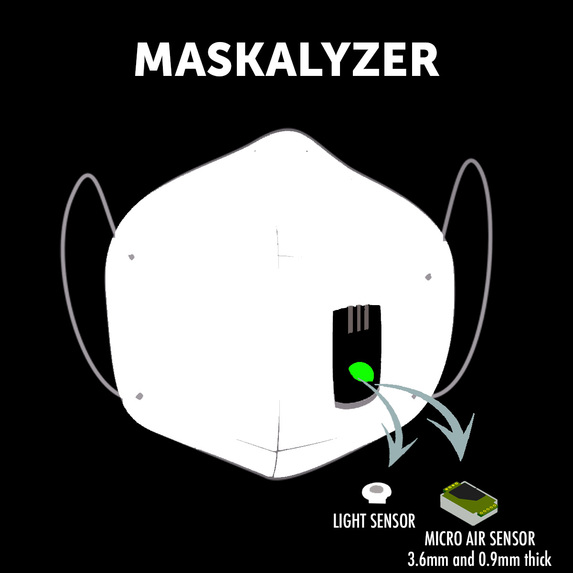 Maskalyzer – screenshot 1