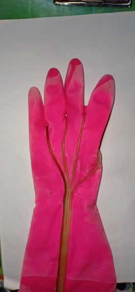 "CORONA PROTECTIVE GLOVES AND PPEs" – screenshot 5