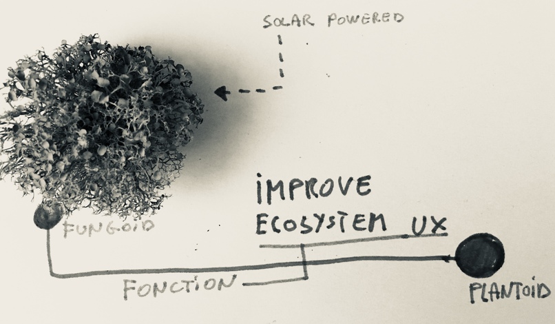 Symbiotic Bioproduction – screenshot 2