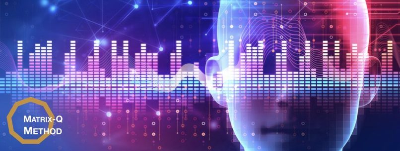 Matrix-Q Solutions – screenshot 1