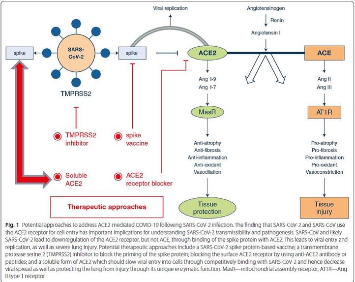 OXYGEN OZONE  IMMUNOCEUTICAL THERAPY OF COVID-19 INFECTION – screenshot 5