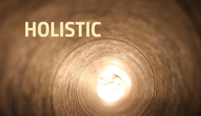 Holistic – screenshot 2