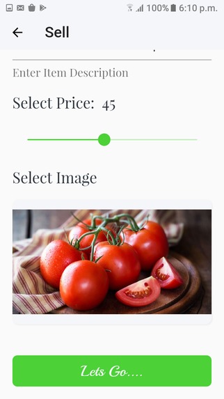 Online Vendor – screenshot 7