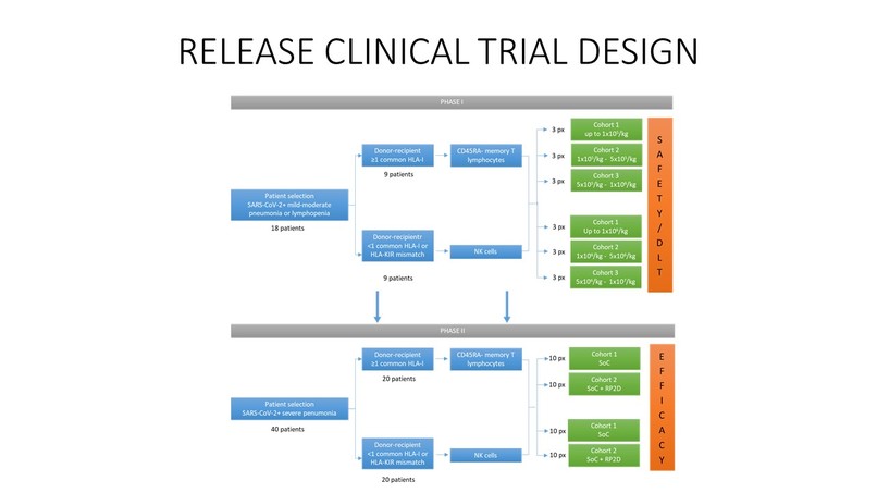 RELEASE – screenshot 2