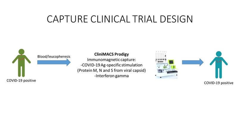 CAPTURE: CYTOTOXIC T LYMPHOCYTES SPECIFIC AGAINST COVID-19 – screenshot 1