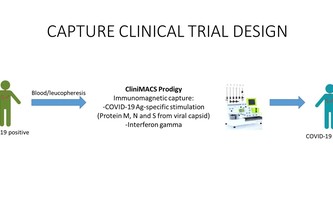 CAPTURE: CYTOTOXIC T LYMPHOCYTES SPECIFIC AGAINST COVID-19