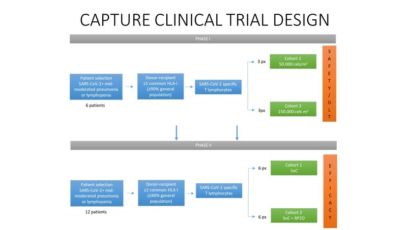 CAPTURE: CYTOTOXIC T LYMPHOCYTES SPECIFIC AGAINST COVID-19 – screenshot 2