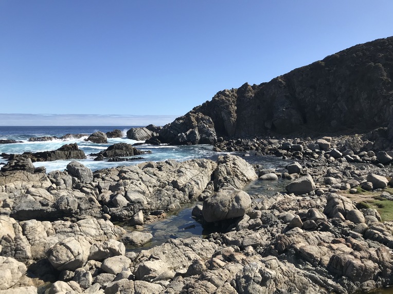 Health Alert (Blockchain + IoT) – screenshot 5