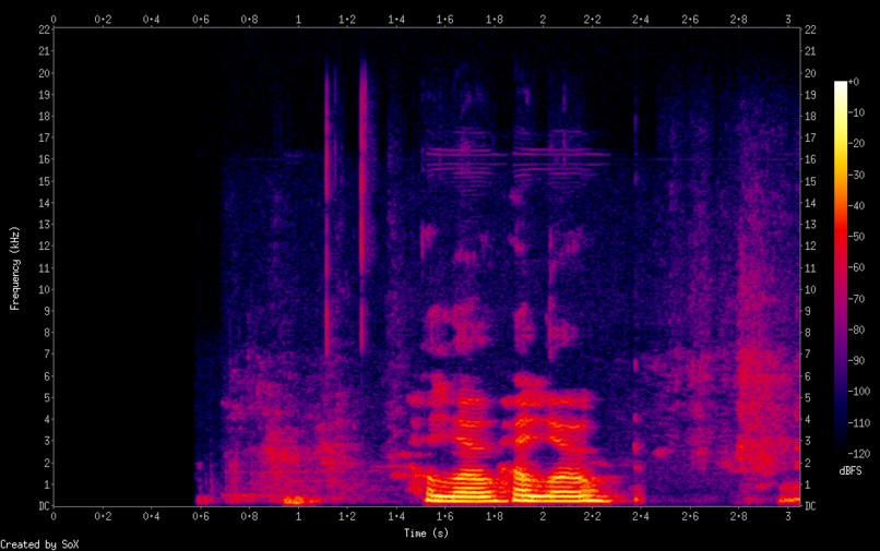 CoronaVoice – screenshot 1