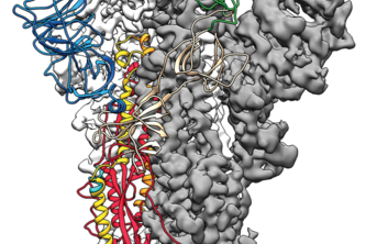 COVID-19 In Quest of a Therapeutic Drug