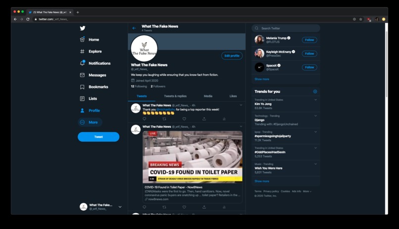 What The Fake News – screenshot 3