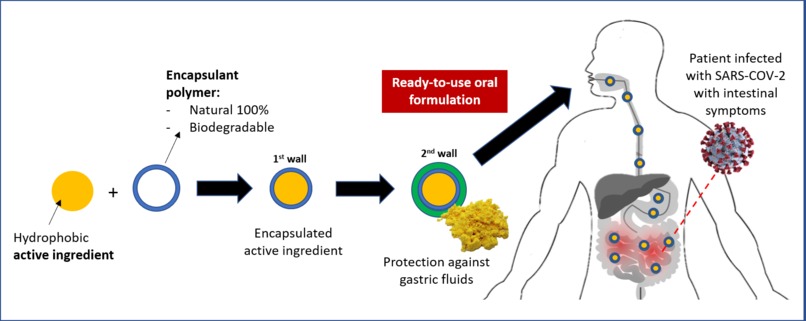 NanoCURe – screenshot 1