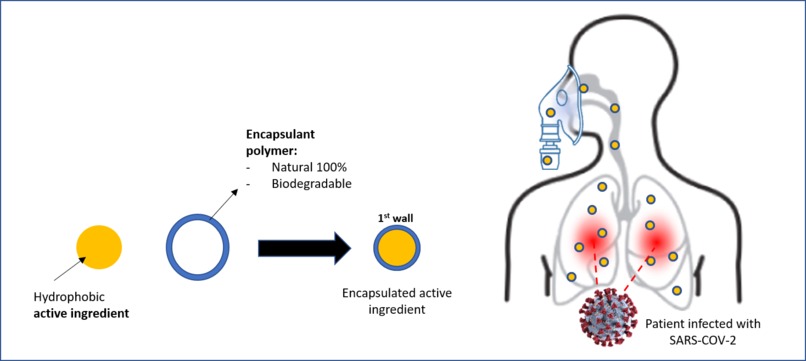NanoCURe – screenshot 2
