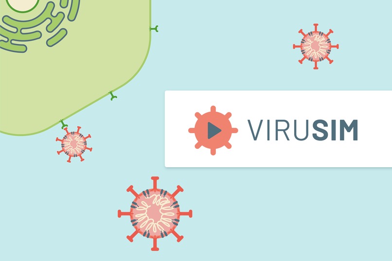 ViruSim – screenshot 1