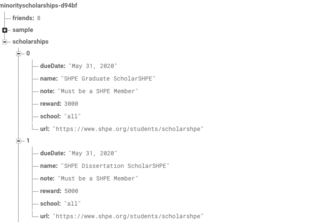 Minority Scholarships