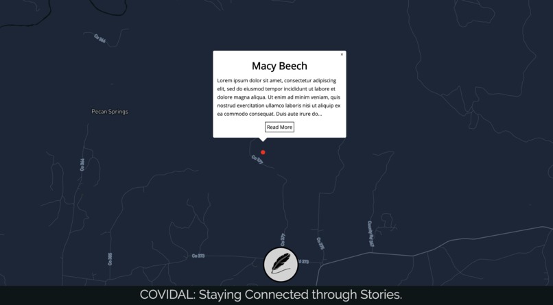 Covidal – screenshot 2