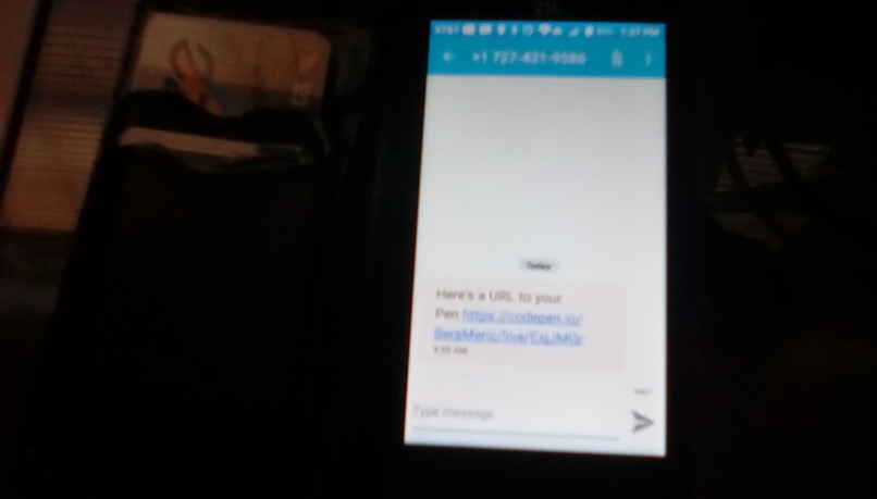 Weather Forecast - Mobile Text Message Reader – screenshot 4