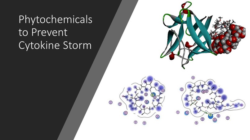 Preventing Cytokine Storm – screenshot 1
