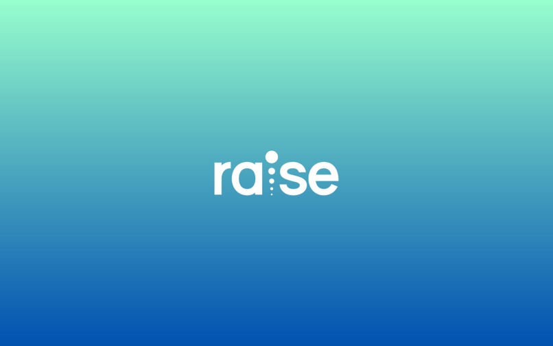 RAISE - Resource Allocation Intelligent Support Engine – screenshot 1