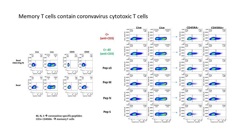 RELEASE – screenshot 3