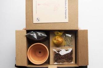 Design for the senses - sensory catering