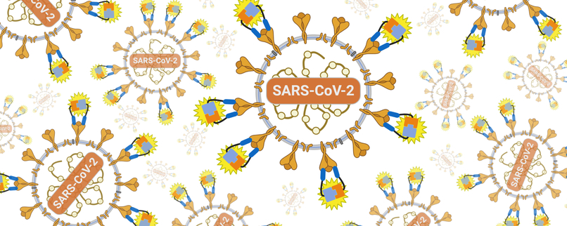 RESET - Rapid chEap Scalable and Easy deTection   – screenshot 1