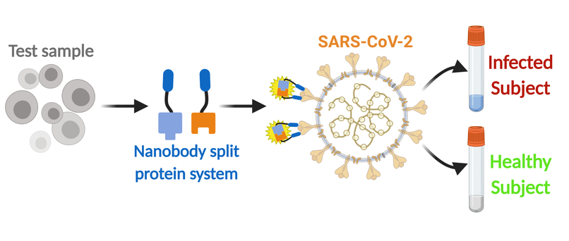 RESET - Rapid chEap Scalable and Easy deTection   – screenshot 2