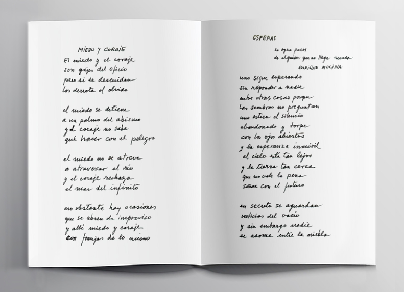 Musealization Hope – screenshot 18