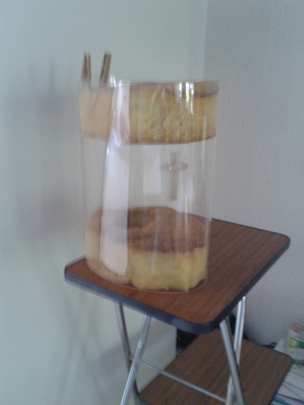 protective helmet against the corona virus – screenshot 1