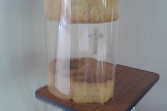 protective helmet against the corona virus