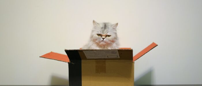 cat in the box [personal delivery for goods] – screenshot 1