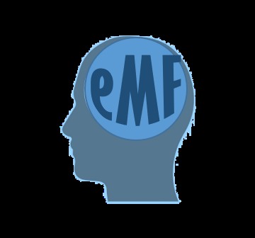 eMindFood – screenshot 1