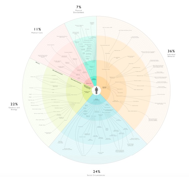 Holistic Health – screenshot 1