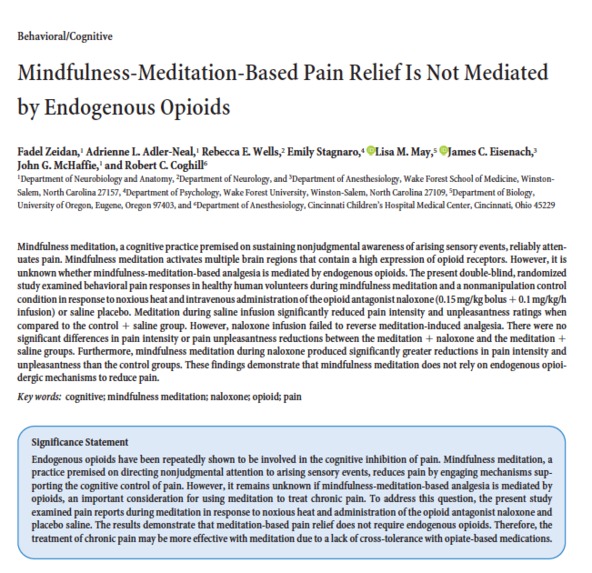 Holistic Health – screenshot 6