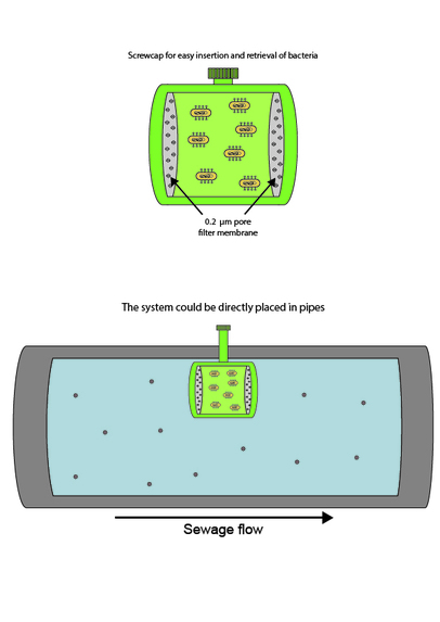 Virusaholic SynBacteria – screenshot 3