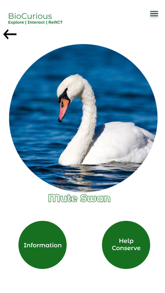 BioCurious – screenshot 6