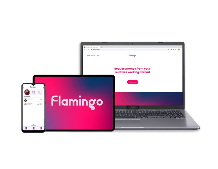 Flamingo Money Transfer – screenshot 1