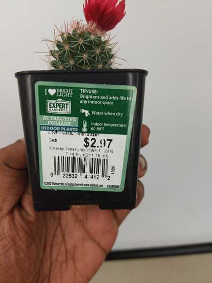 Sustainable Gardens For Everyone – screenshot 8