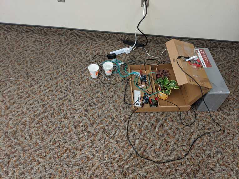 Sustainable Gardens For Everyone – screenshot 6