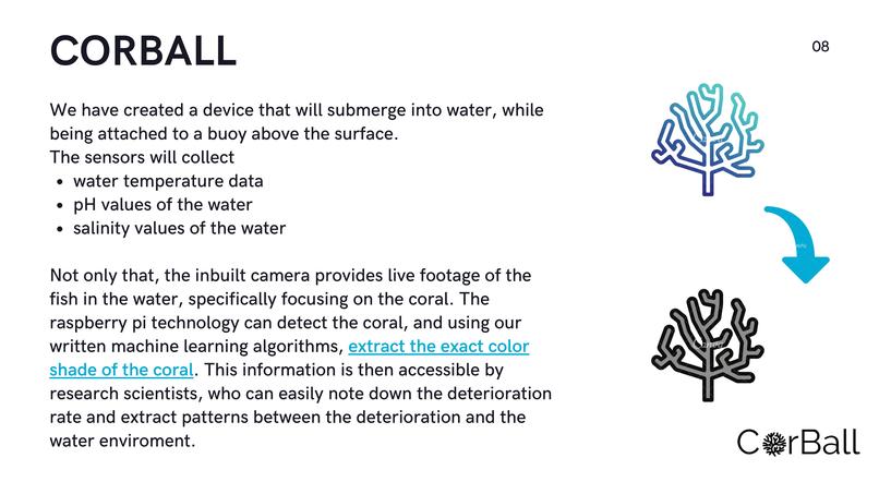CorBall – screenshot 6