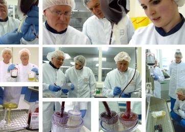 PlasmaNua – screenshot 3