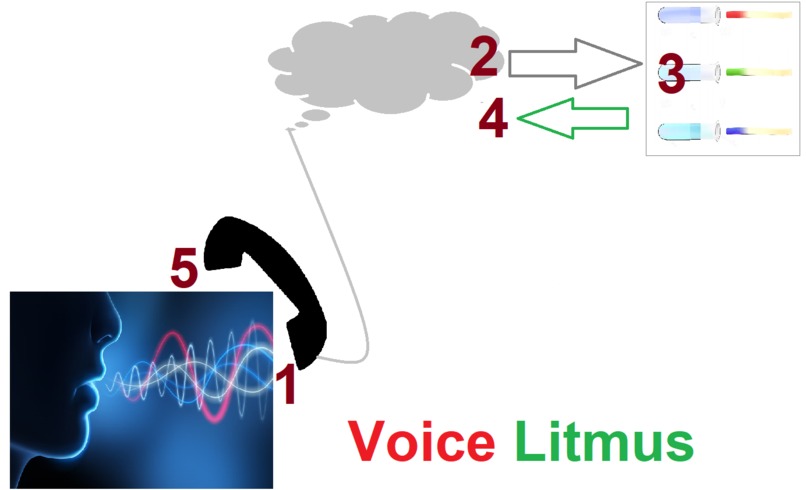 Voice Litmus – screenshot 1