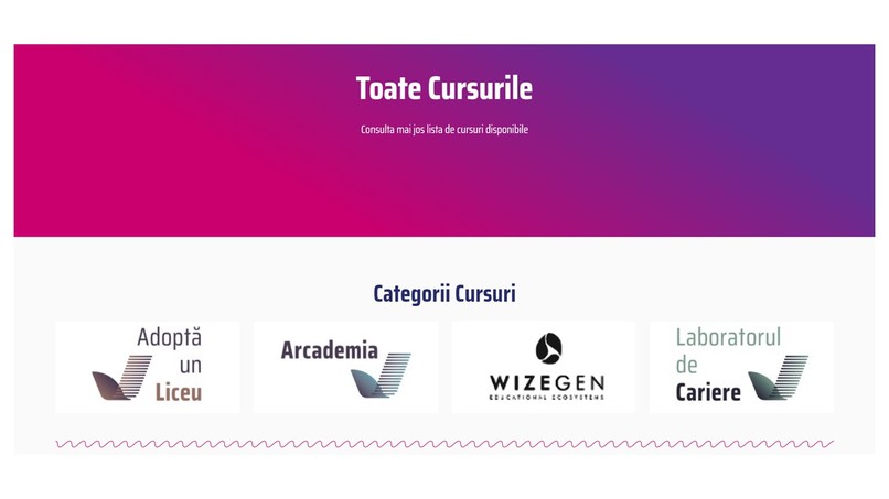 Wizegen-Train for skill, hire for attitude, mentor 4 future  – screenshot 4