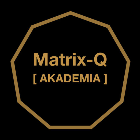 Matrix-Q Solutions – screenshot 5