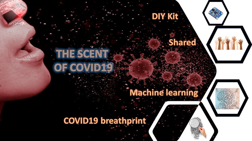 THE SCENT OF COVID19 – screenshot 2