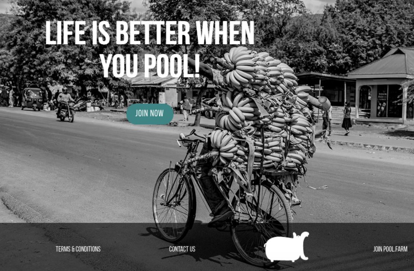 pool.farm – screenshot 2